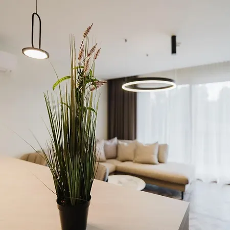 Brown By Monto Palanga